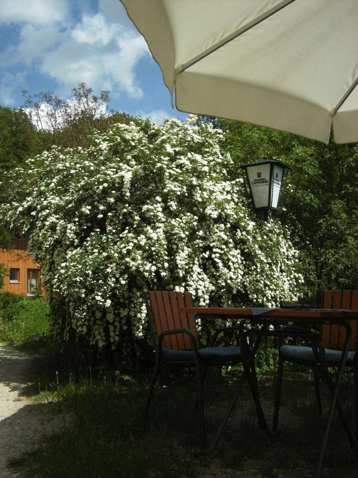 Gasthof Grünwald 2*