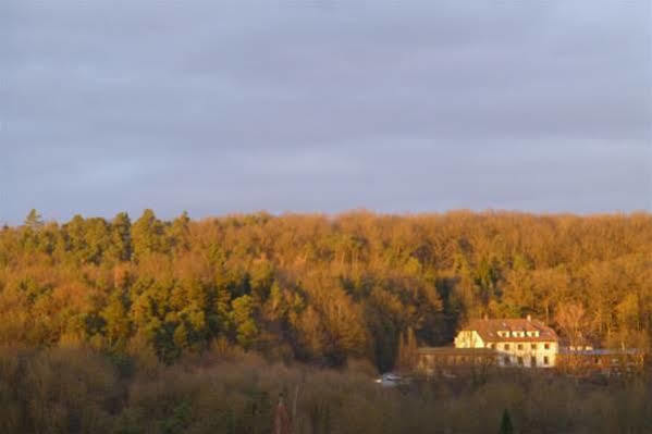 Gruenwald